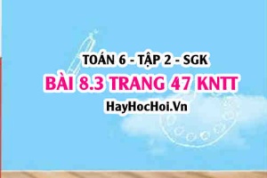 Bài 8.3 trang 47 Toán 6 Tập 2 Kết nối tri thức